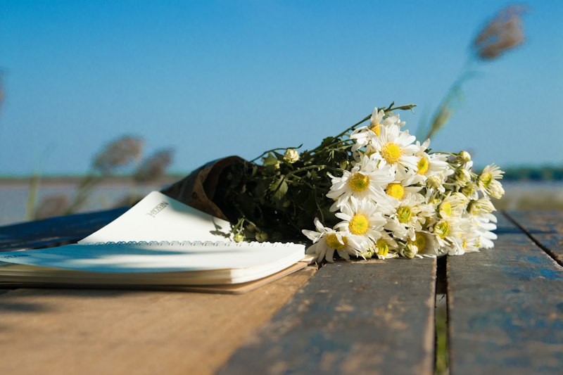 Carta de amor manuscrita ao lado de flores sobre uma mesa